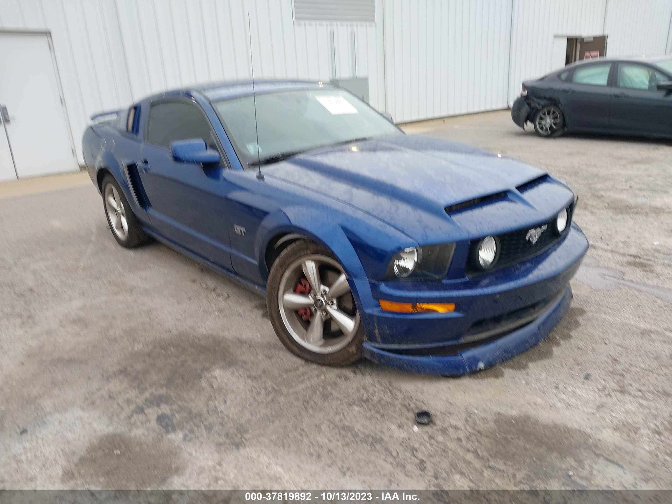 ford mustang 2006 1zvft82hx65248154