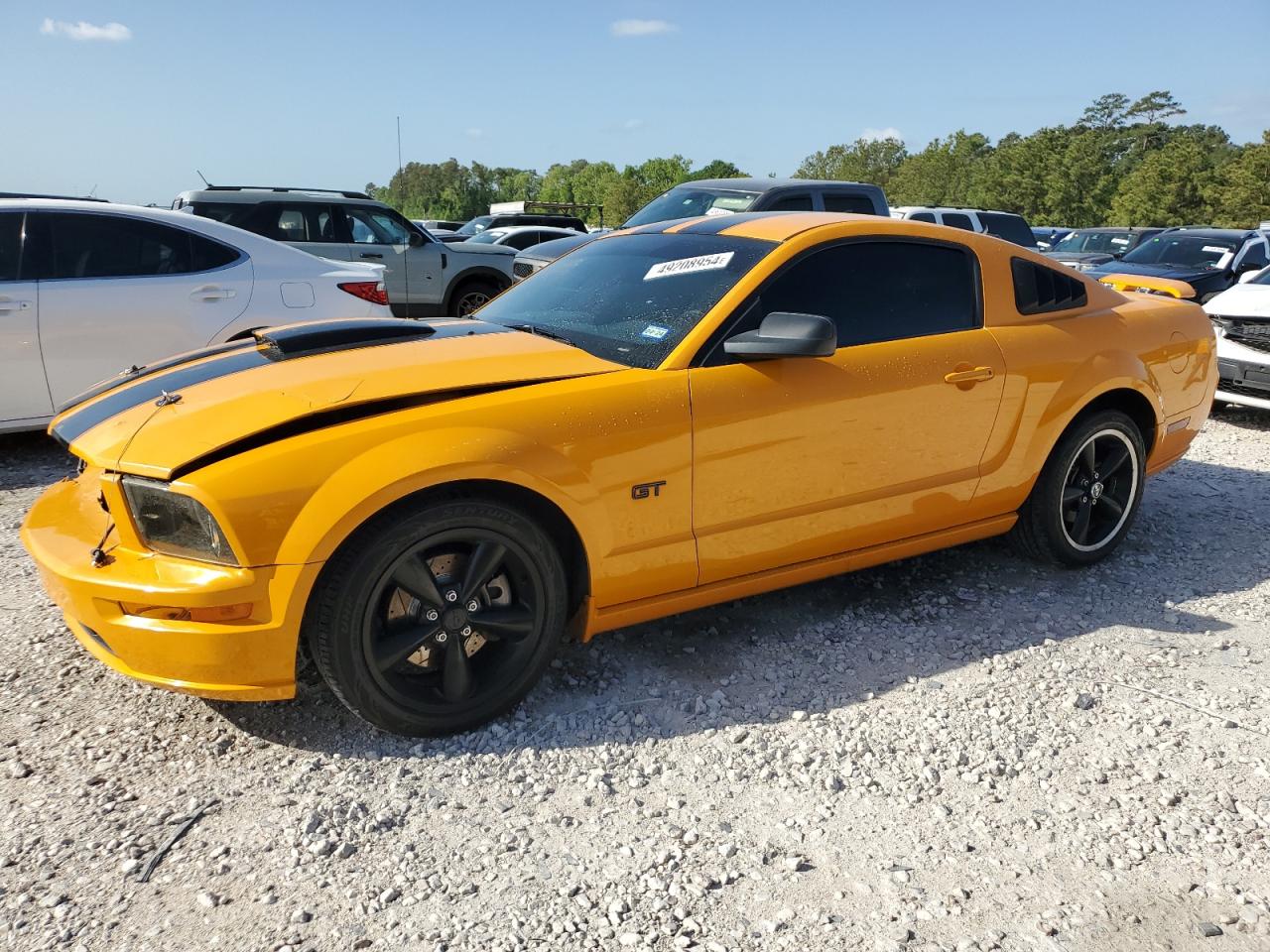 ford mustang 2007 1zvft82hx75202289