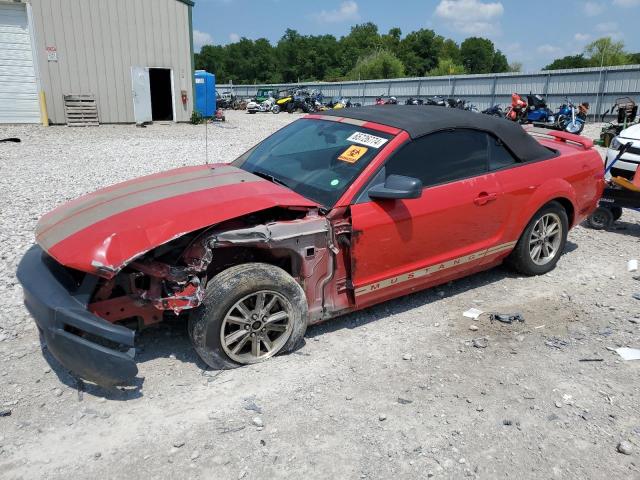 ford mustang 2005 1zvft84n055191965