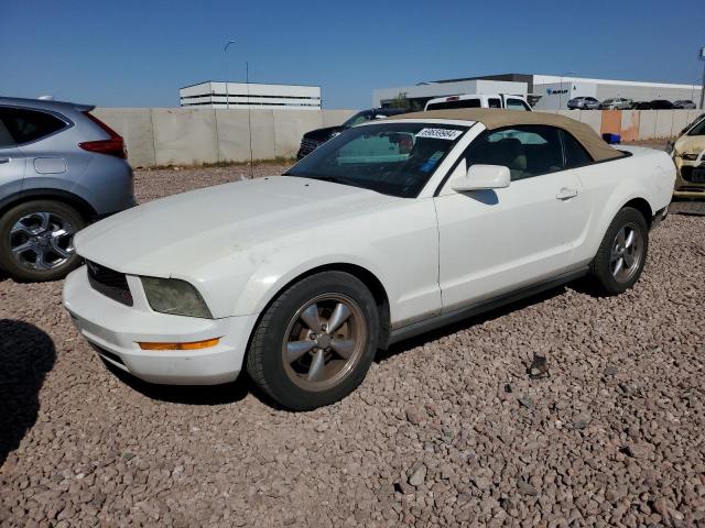 ford mustang 2006 1zvft84n065161950