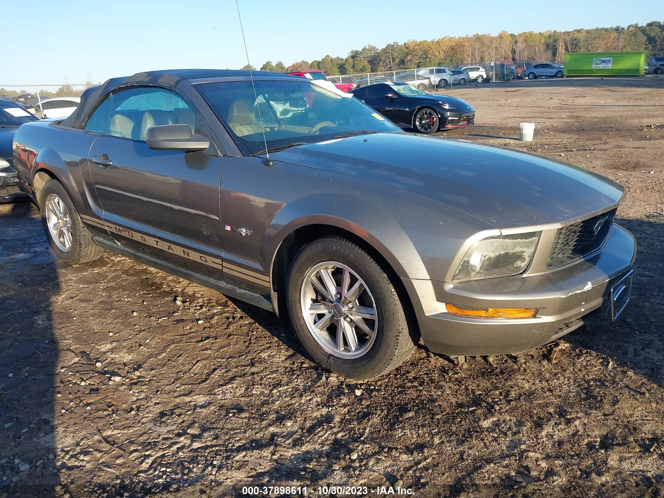 ford mustang 2005 1zvft84n155186998