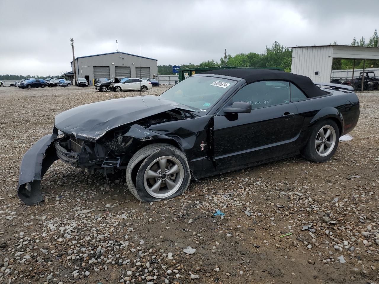 ford mustang 2006 1zvft84n165264214