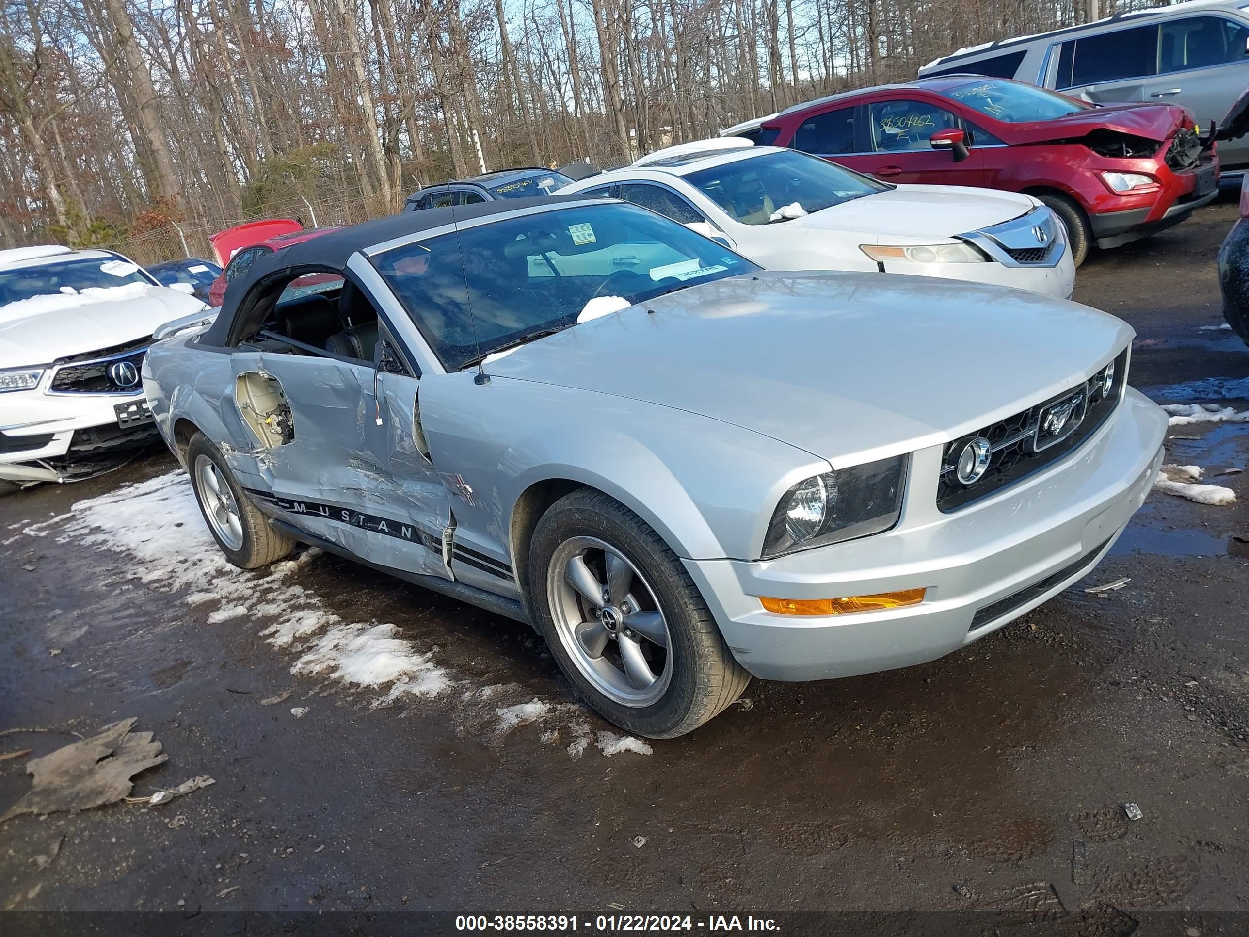 ford mustang 2006 1zvft84n265218813