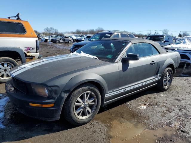 ford mustang 2005 1zvft84n355250393