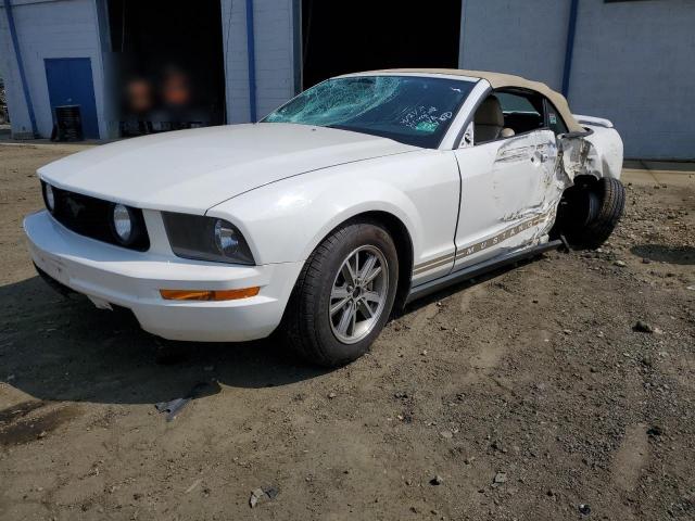 ford mustang 2005 1zvft84n355254797