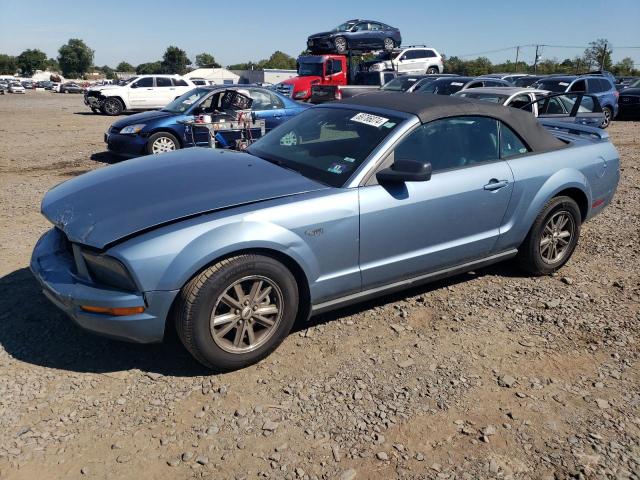 ford mustang 2006 1zvft84n365170142