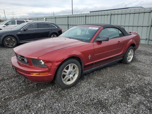 ford mustang 2006 1zvft84n365233868