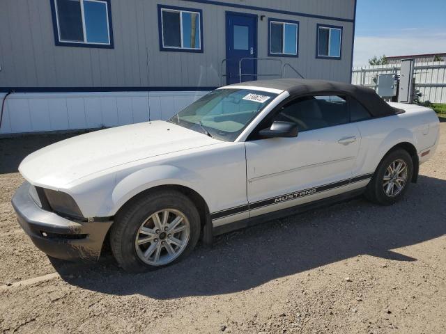 ford mustang 2007 1zvft84n375313690