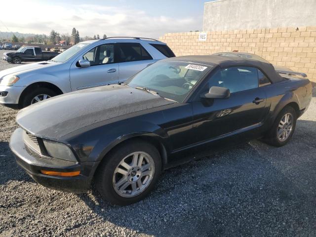 ford mustang 2005 1zvft84n455214633