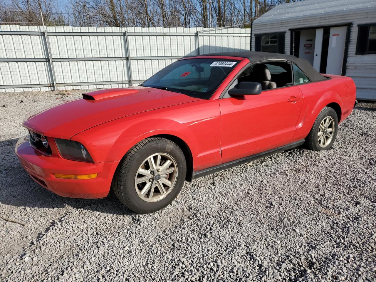 ford mustang 2006 1zvft84n665121470