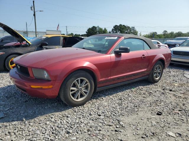 ford mustang 2005 1zvft84n755164391