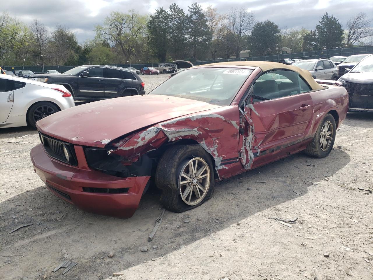 ford mustang 2005 1zvft84n755215582