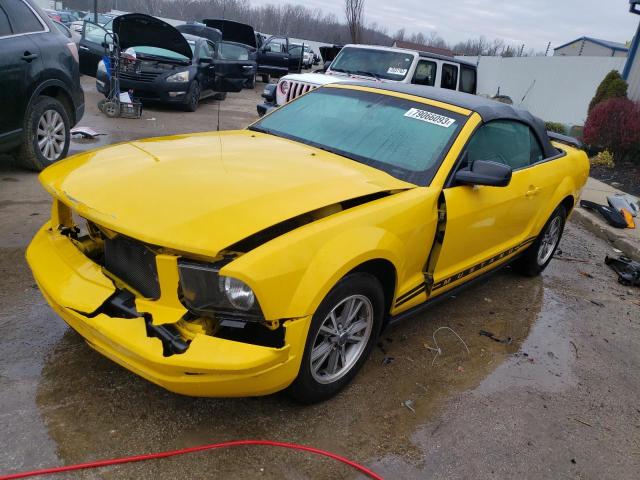 ford all models 2005 1zvft84n755220622