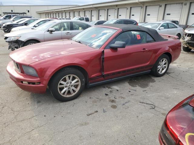 ford mustang 2005 1zvft84n755250252