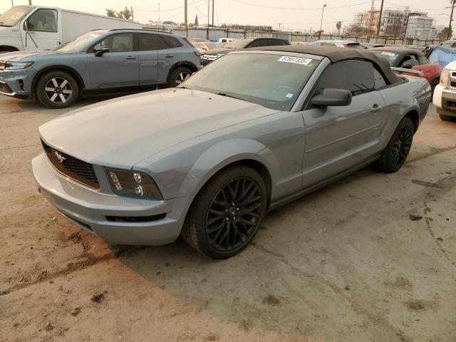 ford mustang 2006 1zvft84n765189244