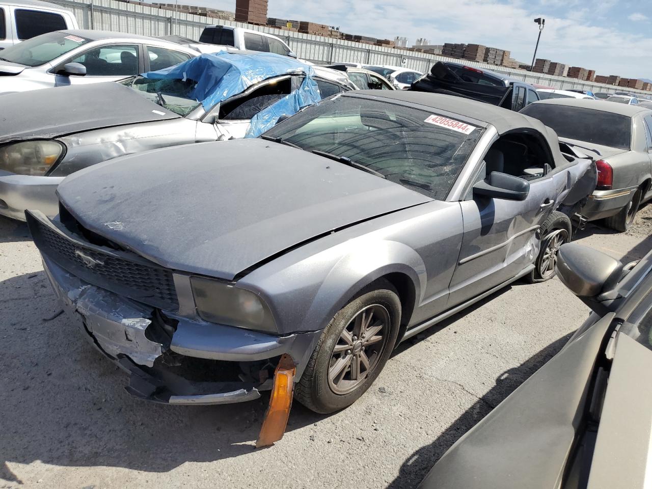 ford mustang 2006 1zvft84n765262385