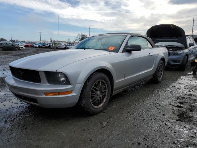 ford mustang 2005 1zvft84n855163430