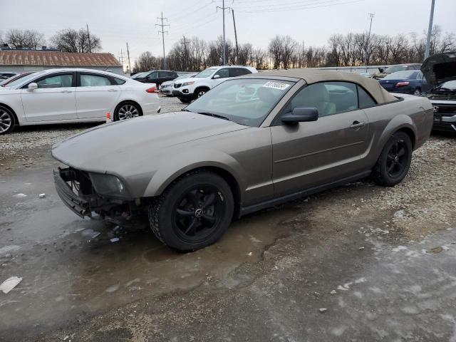 ford mustang 2005 1zvft84n855206275