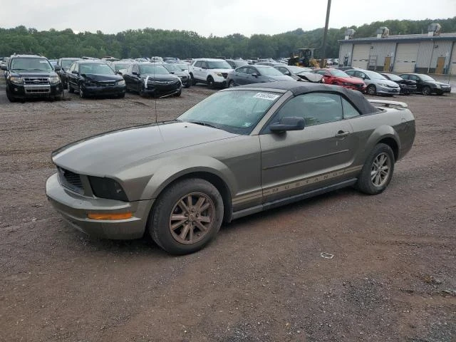 ford mustang 2005 1zvft84n855216126