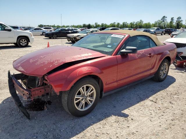 ford mustang 2005 1zvft84n855220158