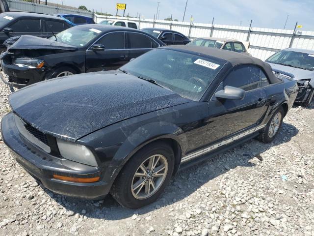 ford mustang 2005 1zvft84n855228910