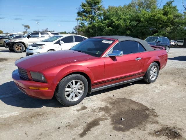 ford all models 2006 1zvft84n865109434