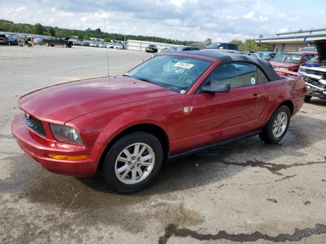 ford mustang 2006 1zvft84n865242078