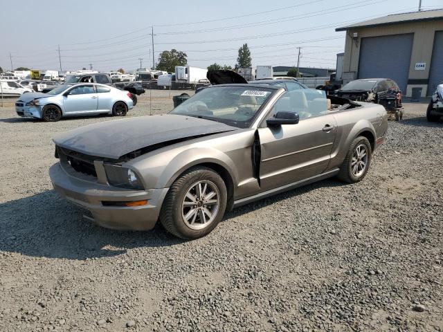 ford mustang 2005 1zvft84n955219908