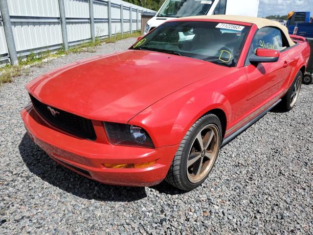 ford mustang 2005 1zvft84n955225255