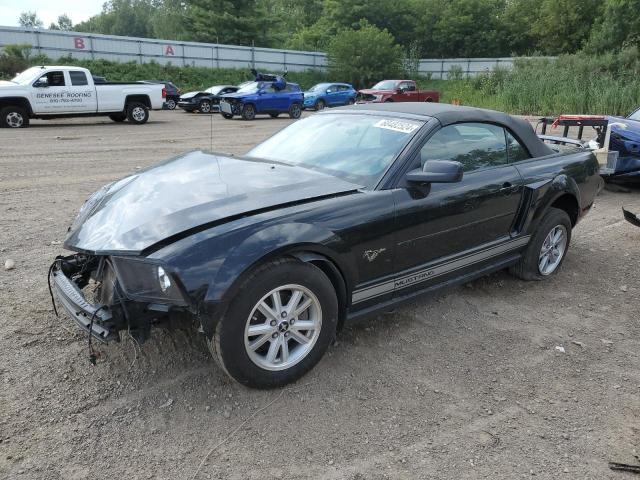 ford mustang 2006 1zvft84n965226245