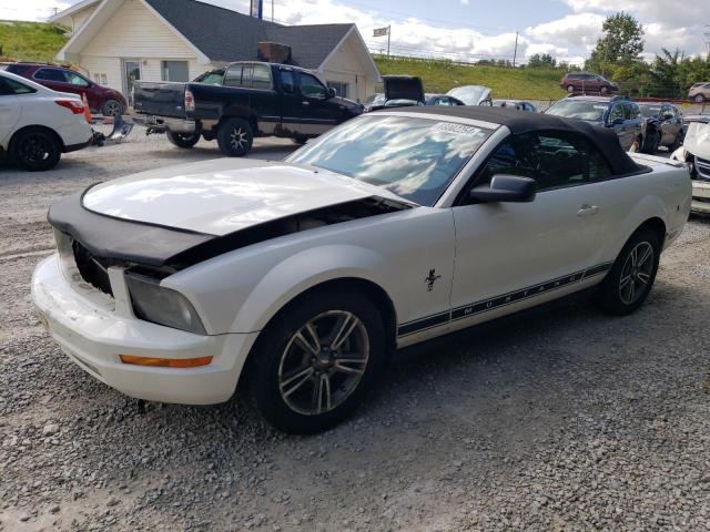 ford mustang 2007 1zvft84n975204943