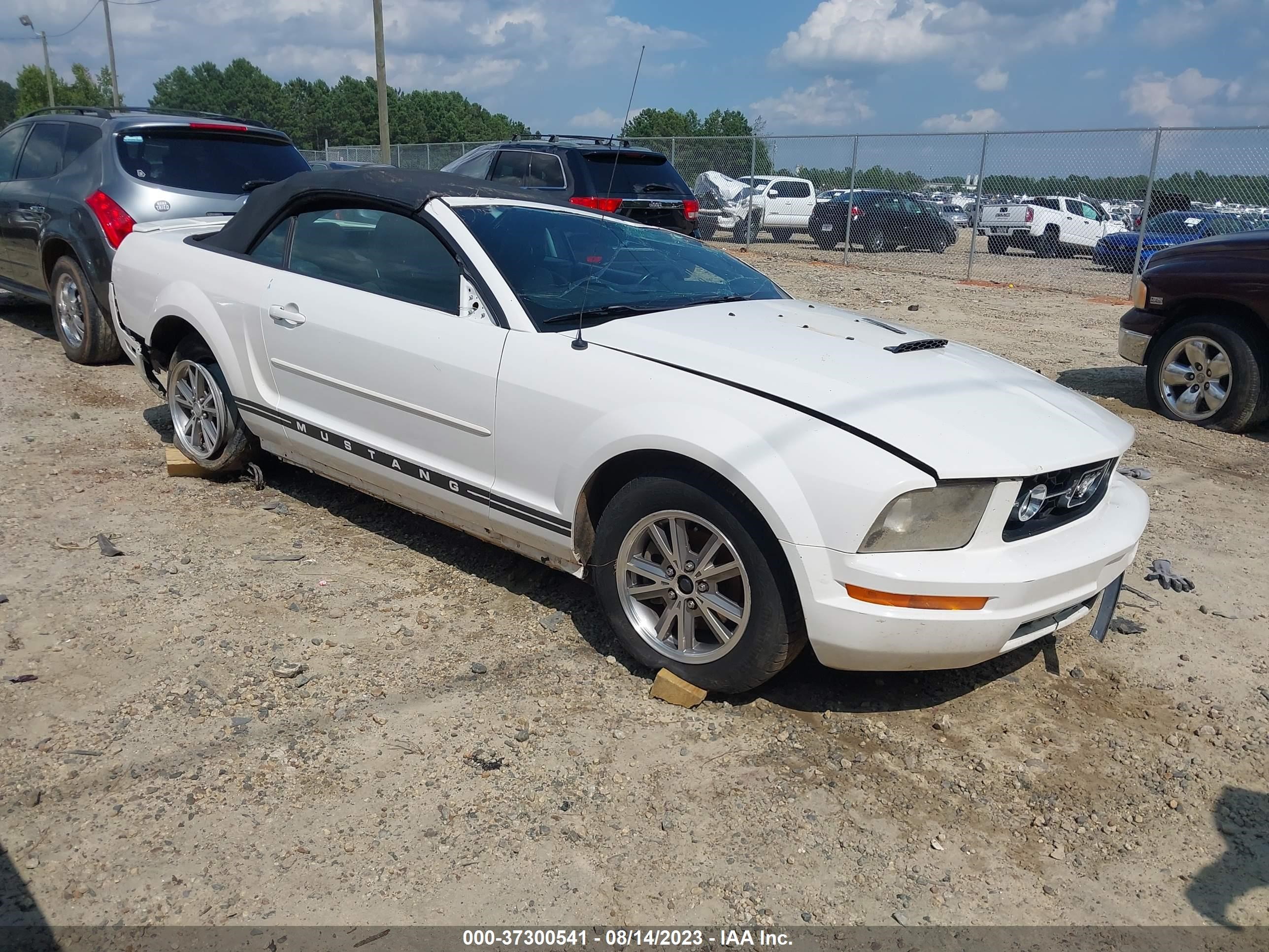 ford mustang 2007 1zvft84n975260543