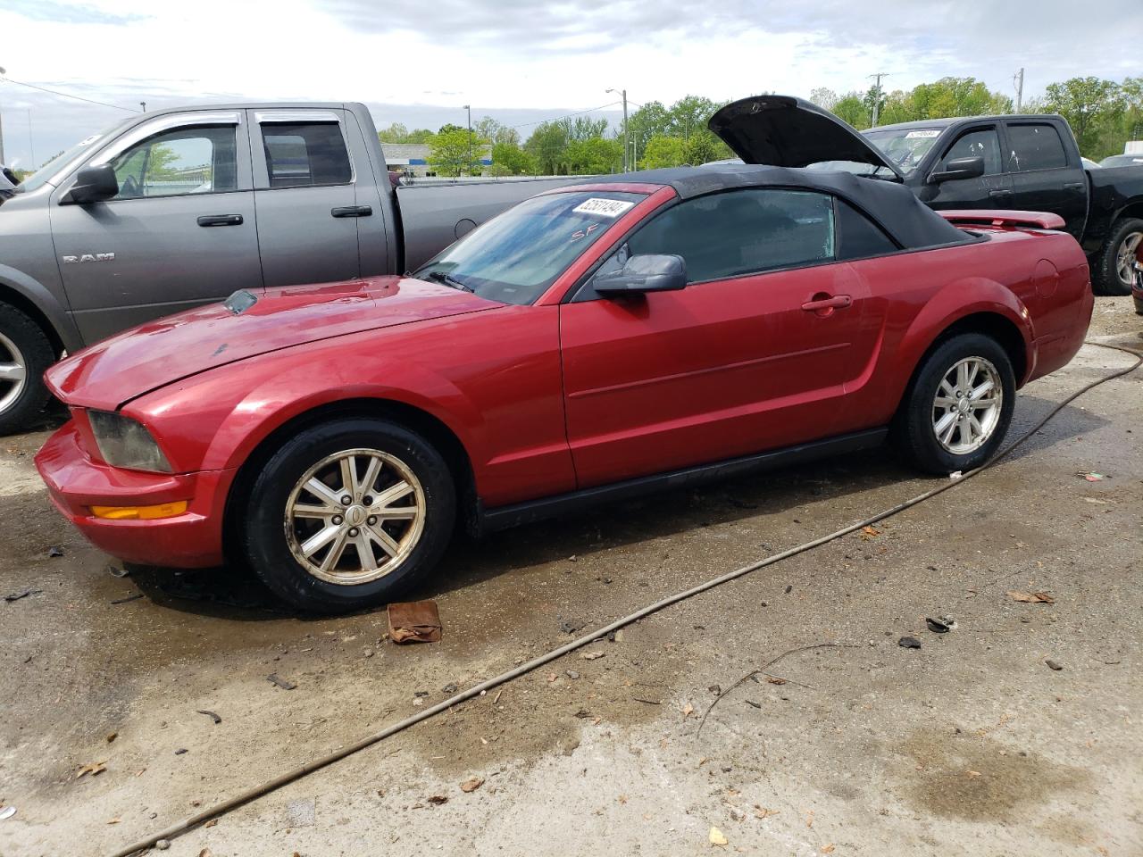 ford mustang 2007 1zvft84n975303617