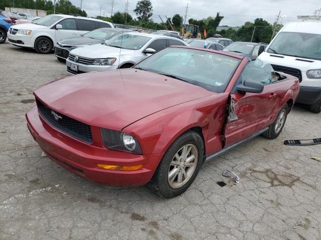 ford mustang 2007 1zvft84n975309188