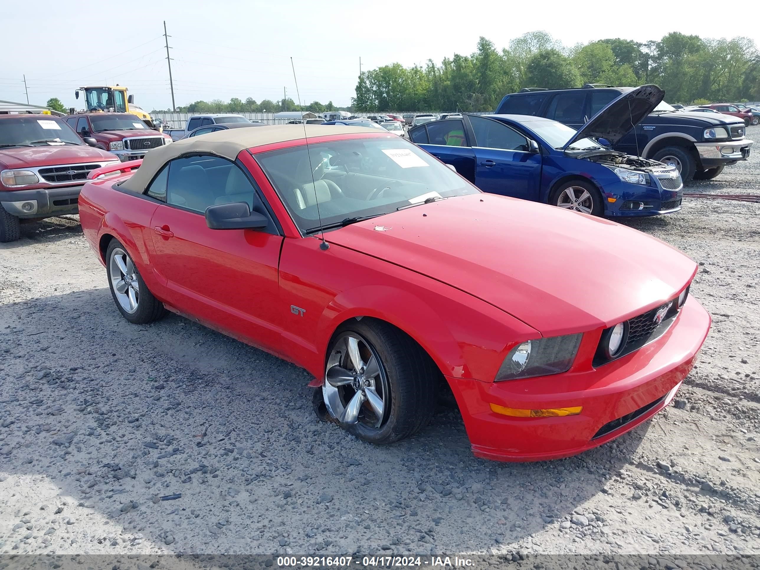 ford mustang 2006 1zvft85h265243641