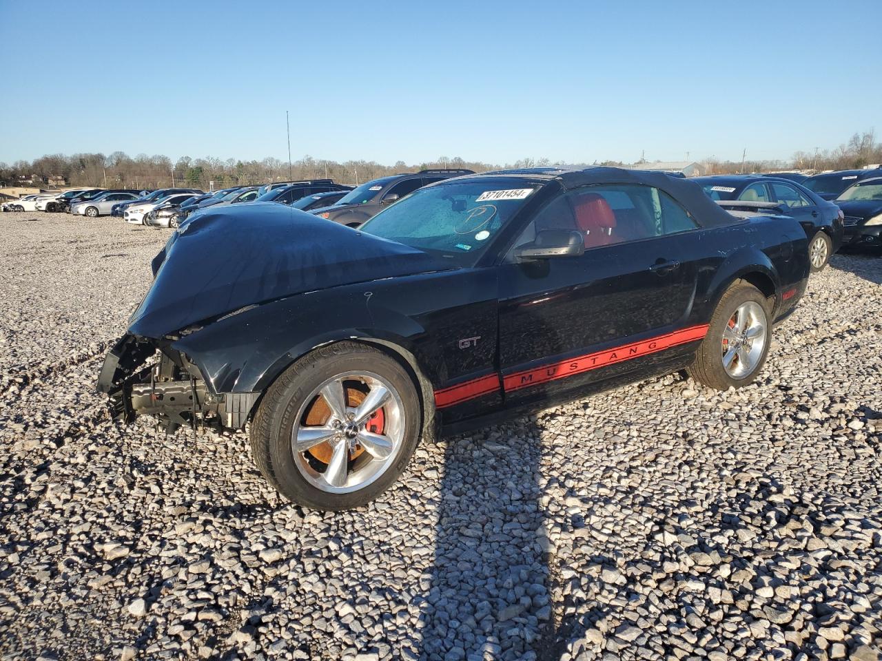 ford mustang 2006 1zvft85h365156203