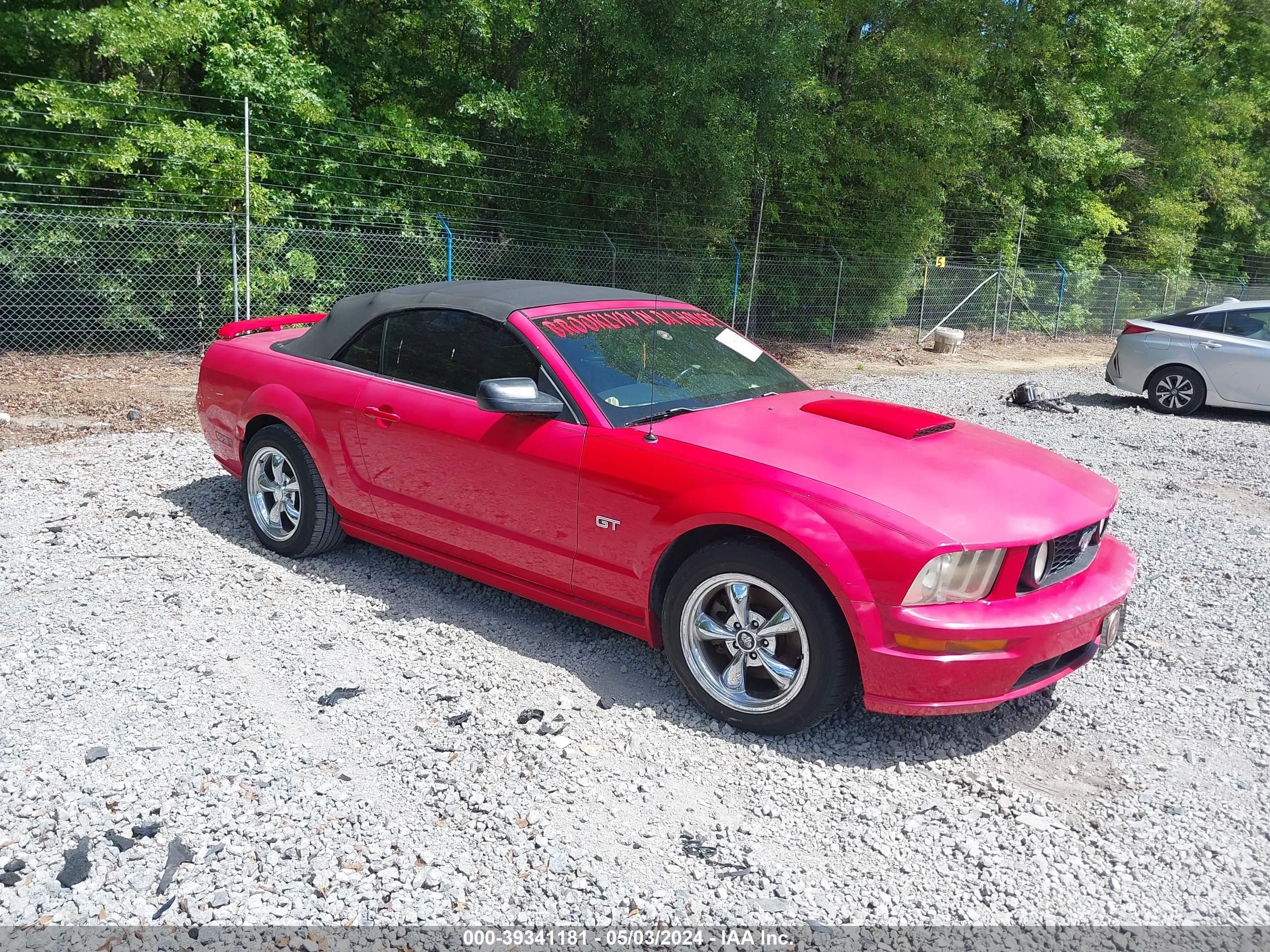 ford mustang 2005 1zvft85h555242238