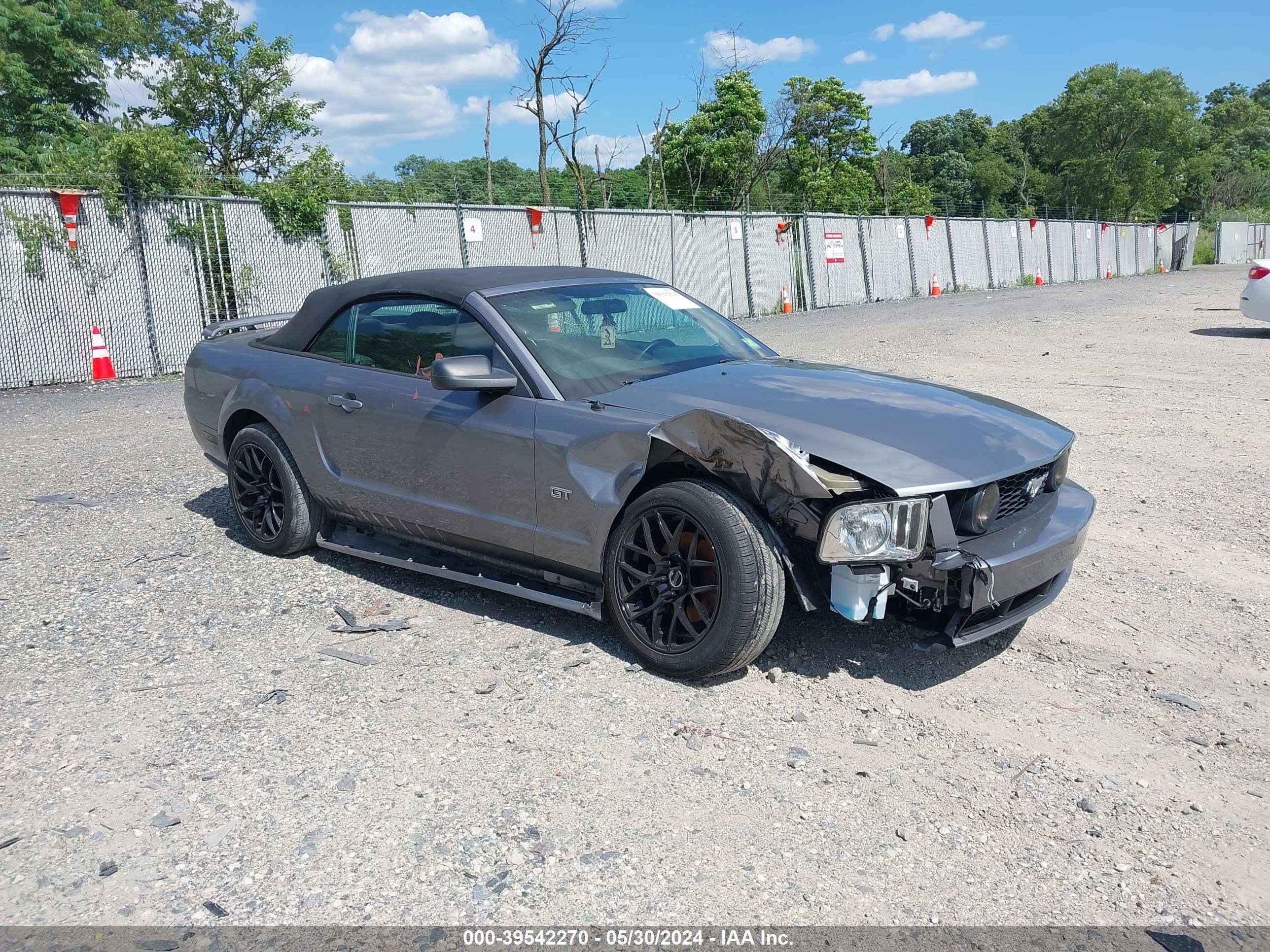 ford mustang 2006 1zvft85h665129559