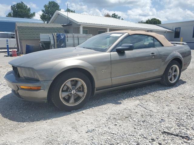 ford mustang gt 2005 1zvft85h955174459