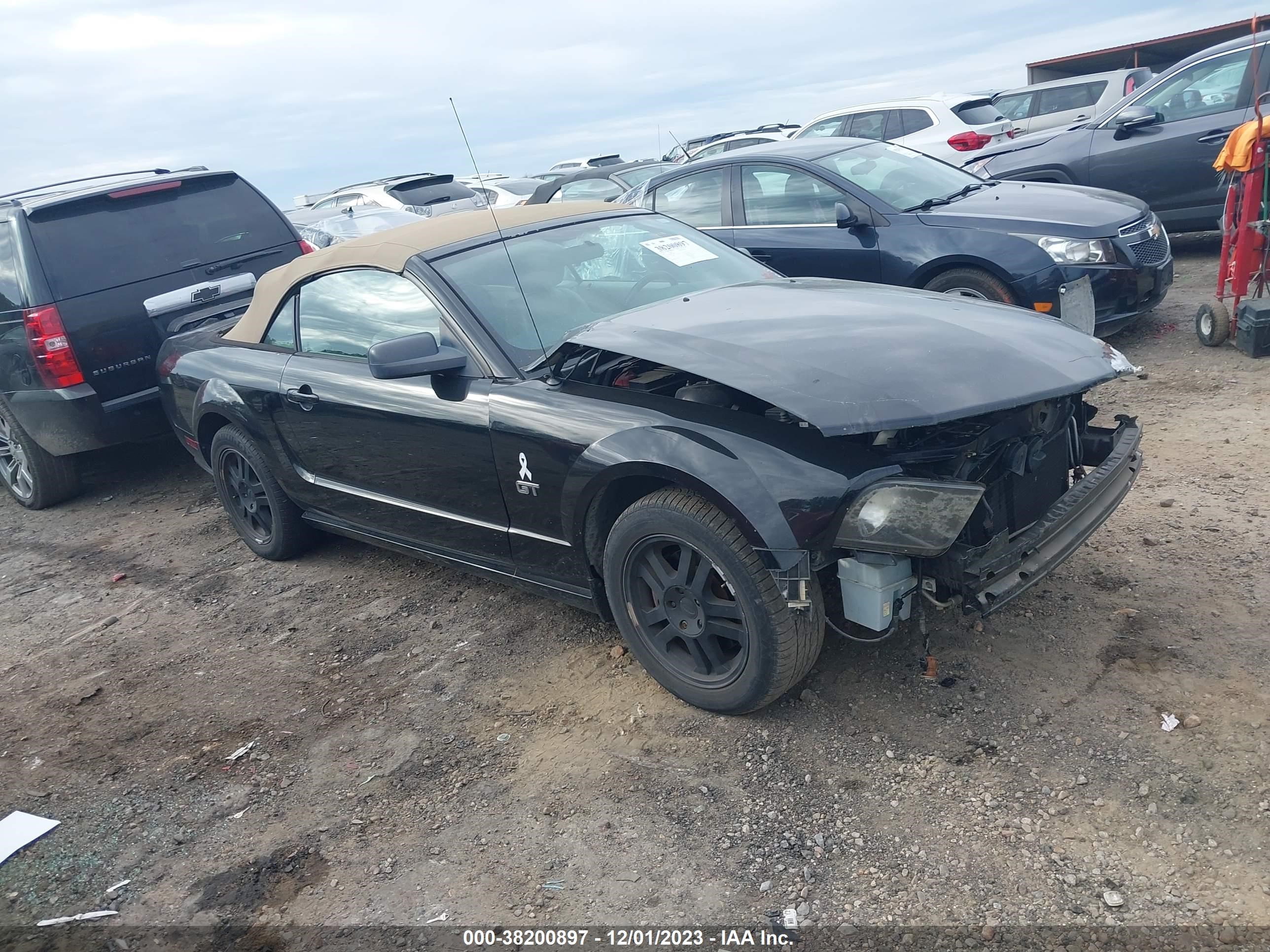 ford mustang 2005 1zvft85hx55192422