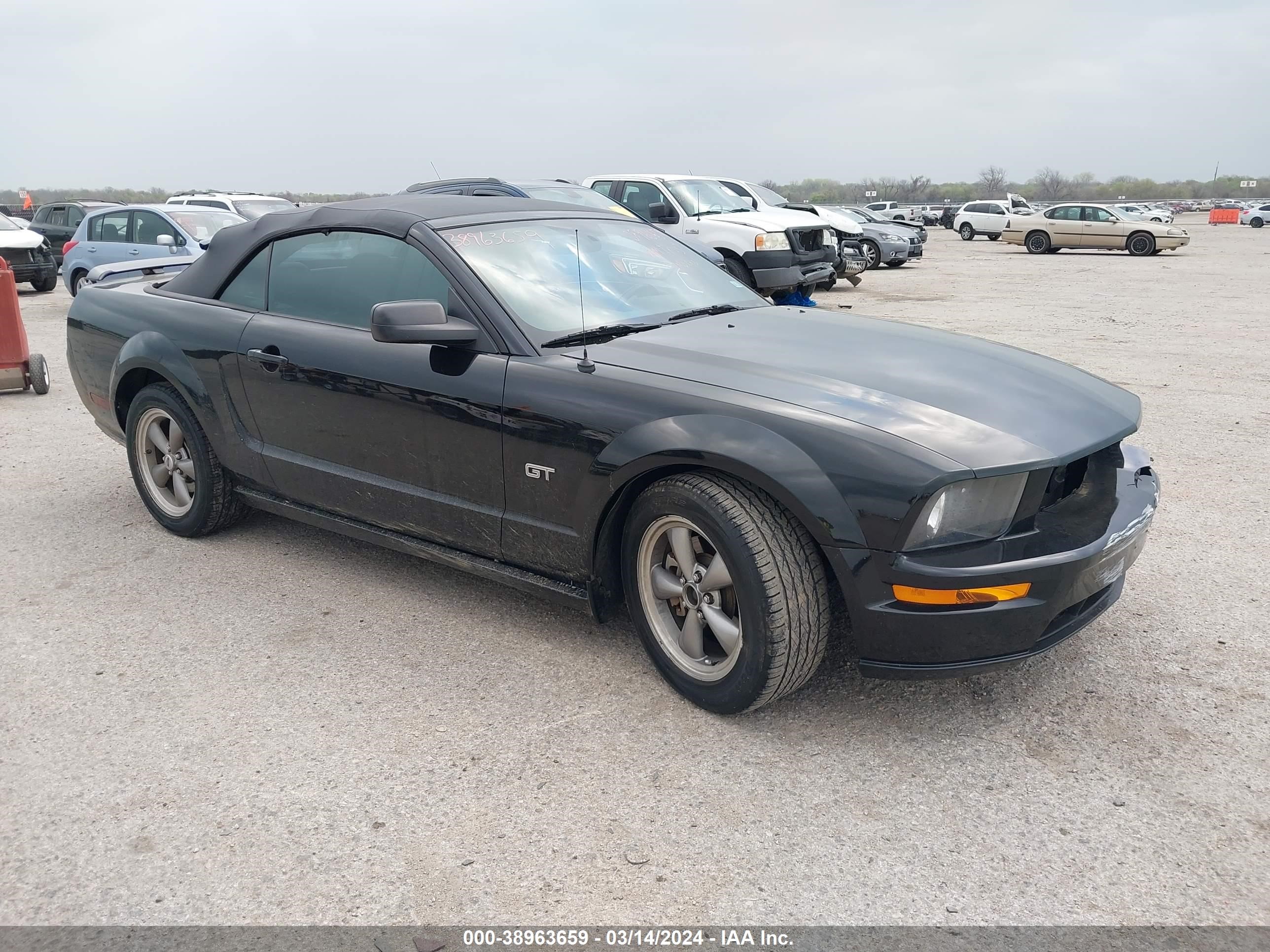 ford mustang 2006 1zvft85hx65178909