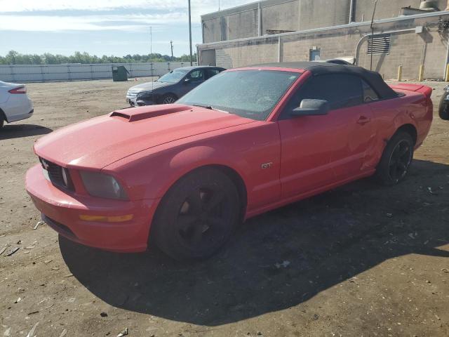 ford mustang 2006 1zvft85hx65223976