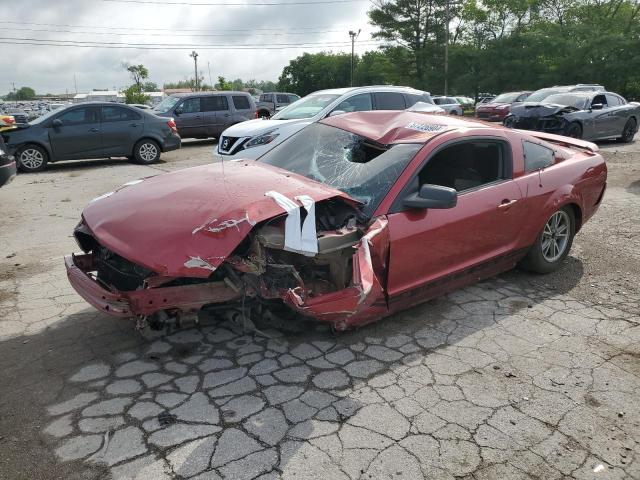 ford mustang 2005 1zvht80n055224767