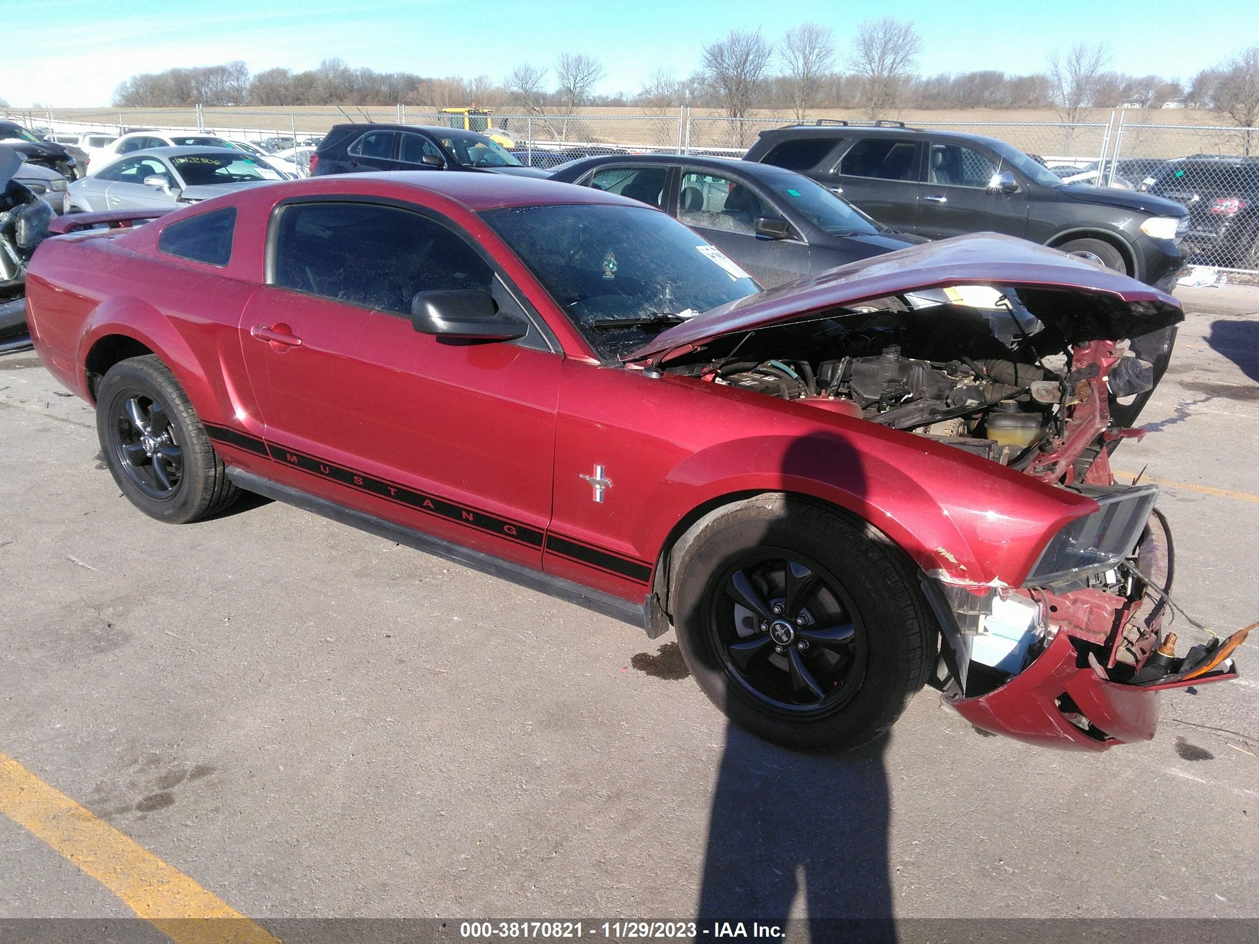 ford mustang 2006 1zvht80n065129031