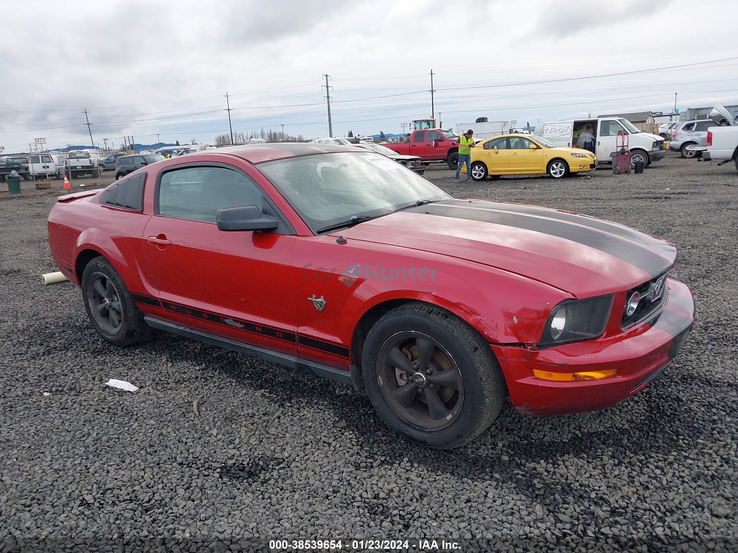 ford mustang 2009 1zvht80n095134993
