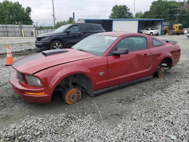 ford mustang 2009 1zvht80n095138610