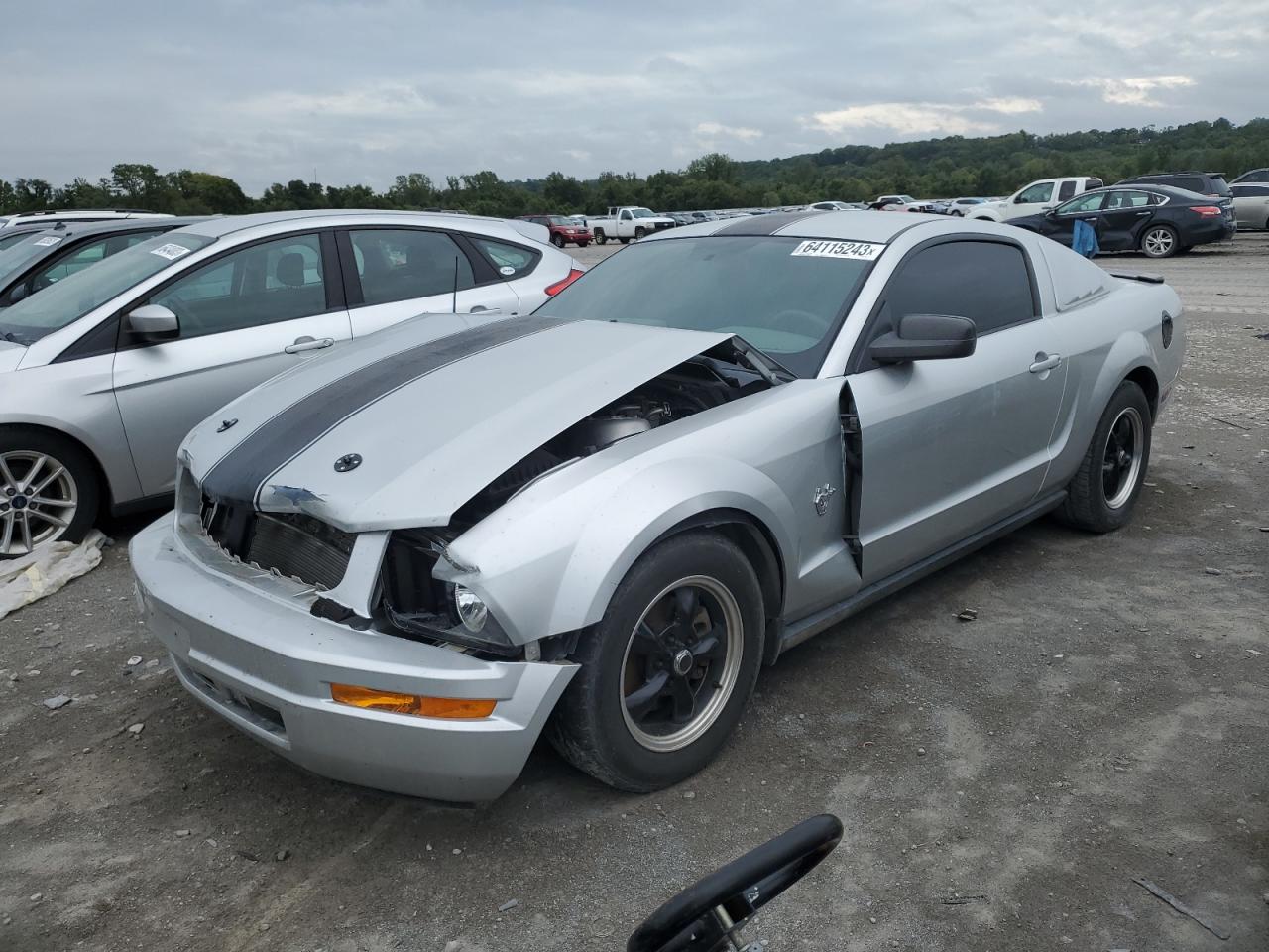 ford mustang 2009 1zvht80n395146345