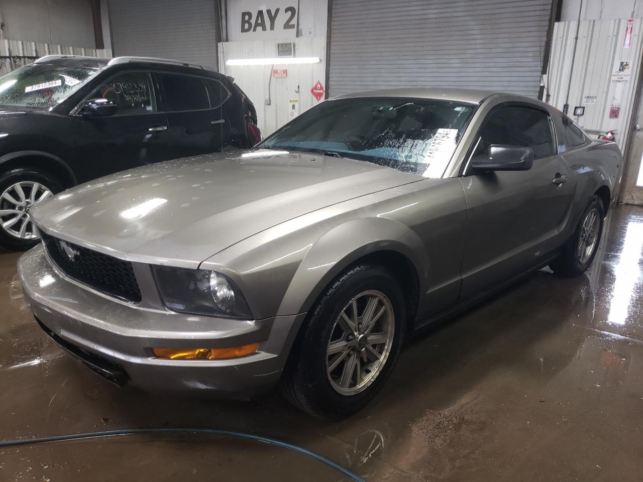 ford mustang 2005 1zvht80n555215403