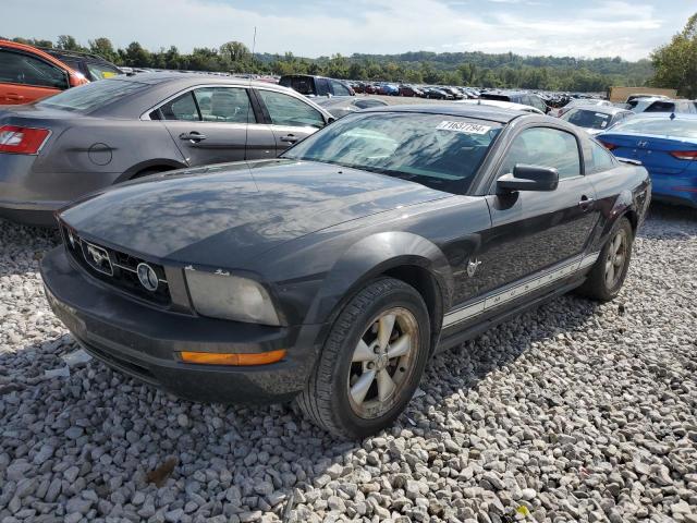 ford mustang 2009 1zvht80n695121777