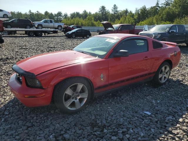 ford mustang 2006 1zvht80n865143923